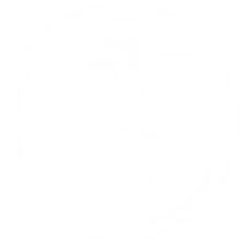 Icono 1