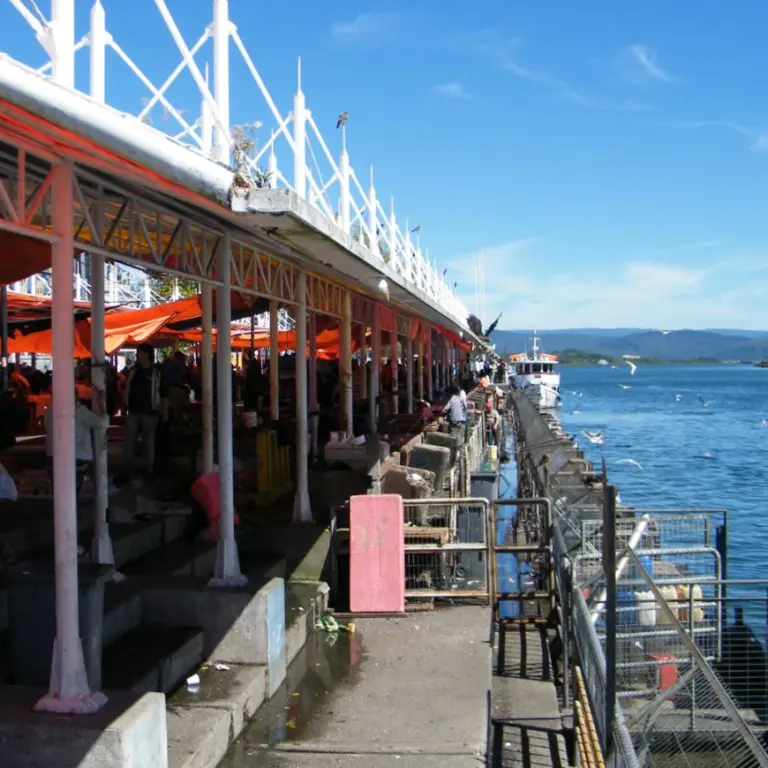 Feria Fluvial Valdivia